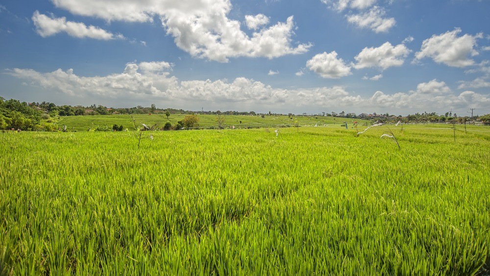 Gallery For Villa Yenian In Canggu